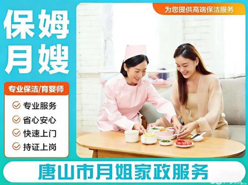 深入剖析：如何高效解决家庭水管堵塞难题